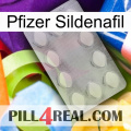 Pfizer Sildenafil 16